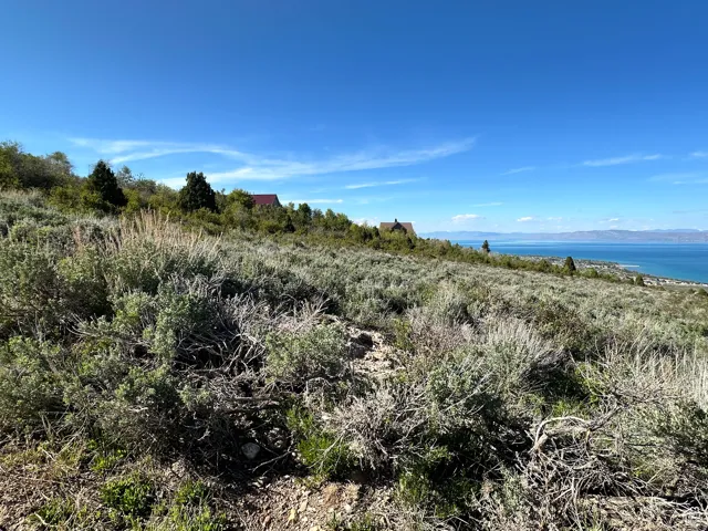 View of nature featuring a large body of water