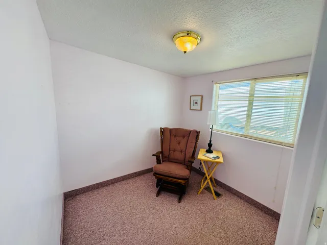 Living area with carpet and a textured ceiling