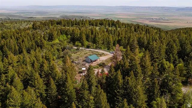 Bird's eye view of a heavily wooded area