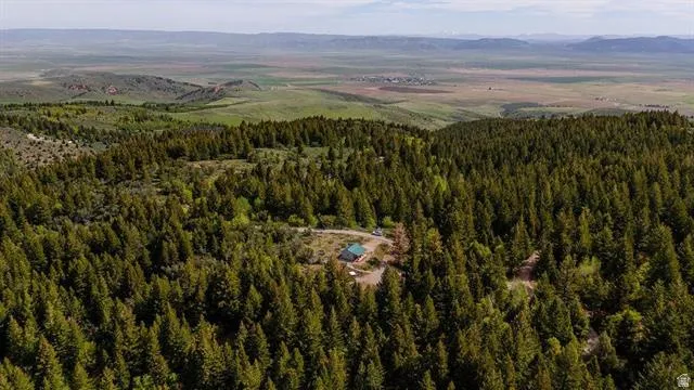 Aerial view of a heavily wooded area