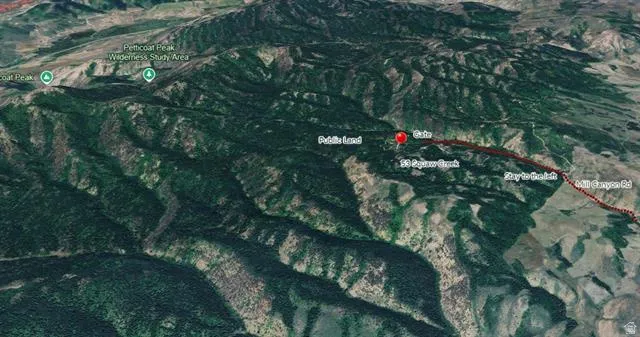 Aerial map of property and surrounding area