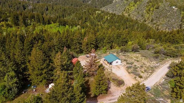 Bird's eye view of a forest