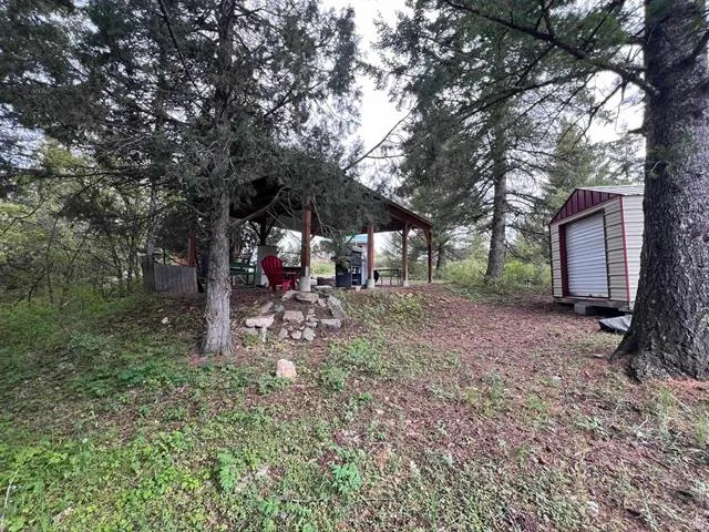 View of yard featuring a patio and an outdoor structure
