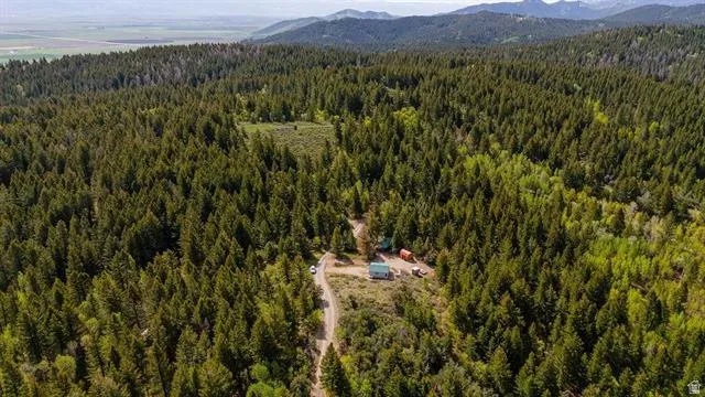 Aerial view of a heavily wooded area and a mountainous background