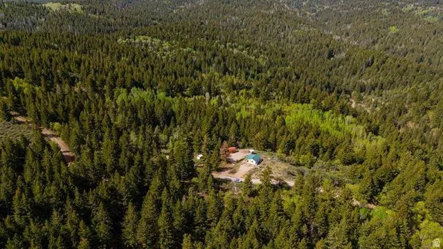 Bird's eye view of a heavily wooded area