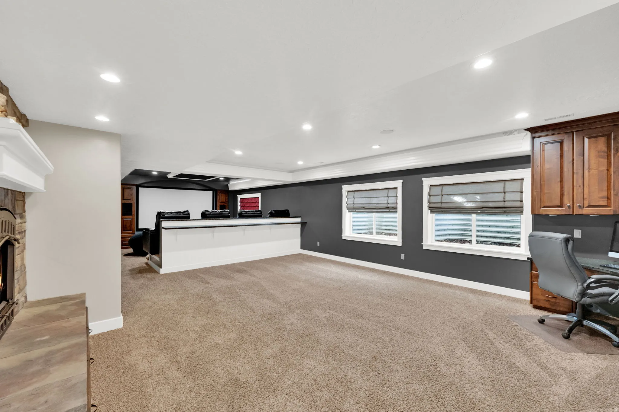 Basement Family Room