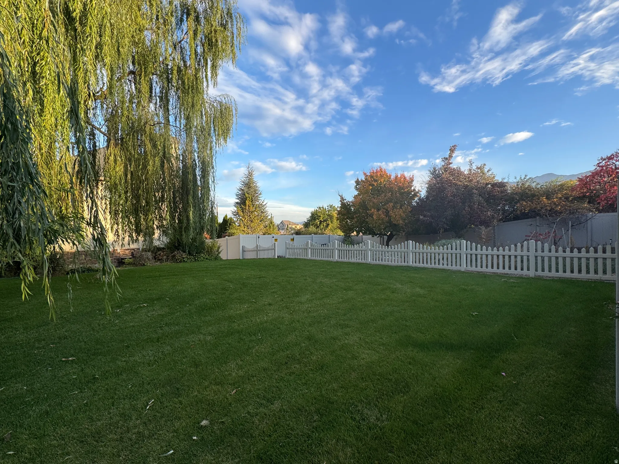 View of fenced backyard