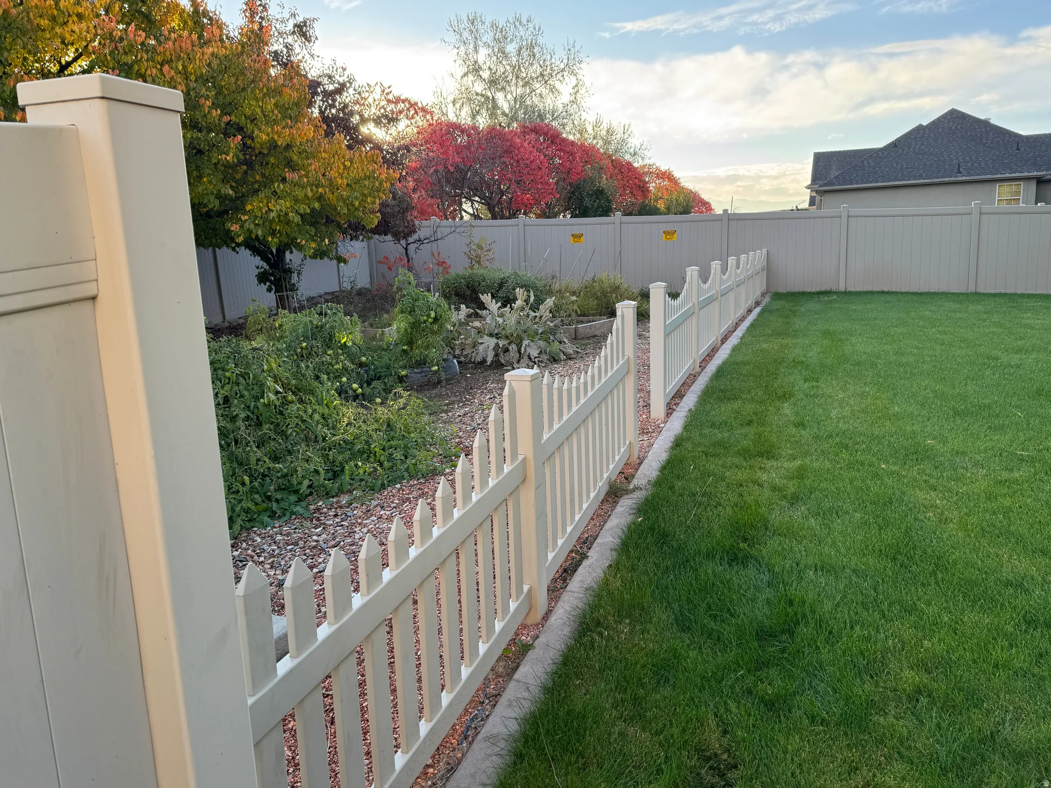 View of fenced backyard
