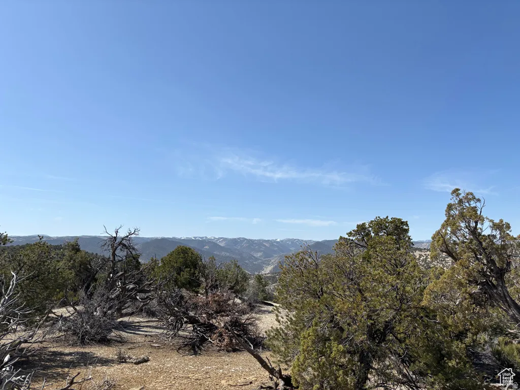 View of mountain backdrop