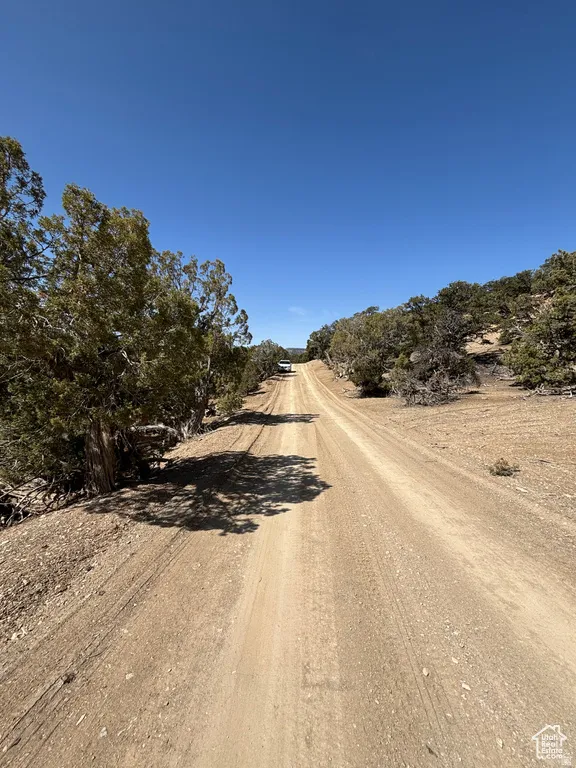 View of dirt / gravel road featuring a view of rural / pastoral area