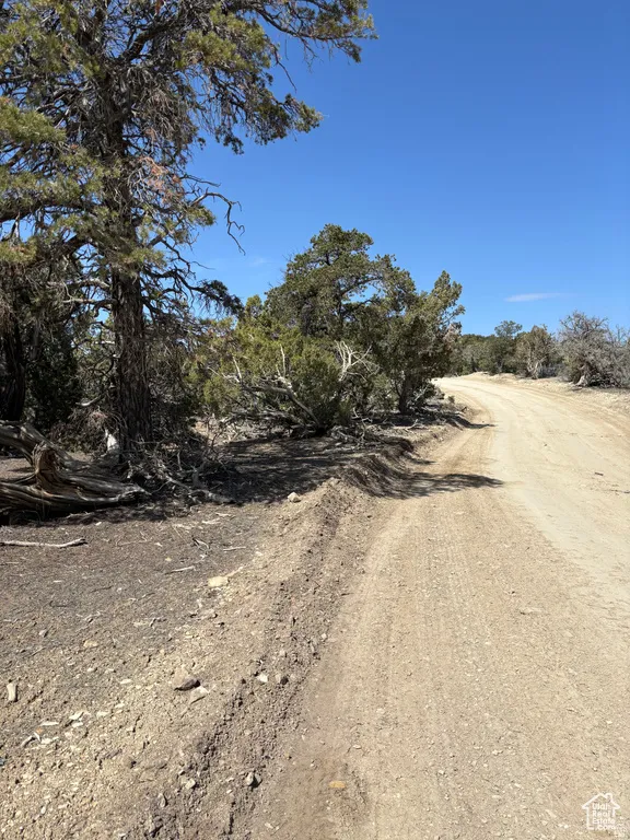 View of dirt / gravel road