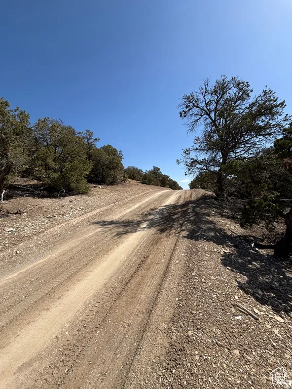 View of dirt / gravel road featuring a view of rural / pastoral area