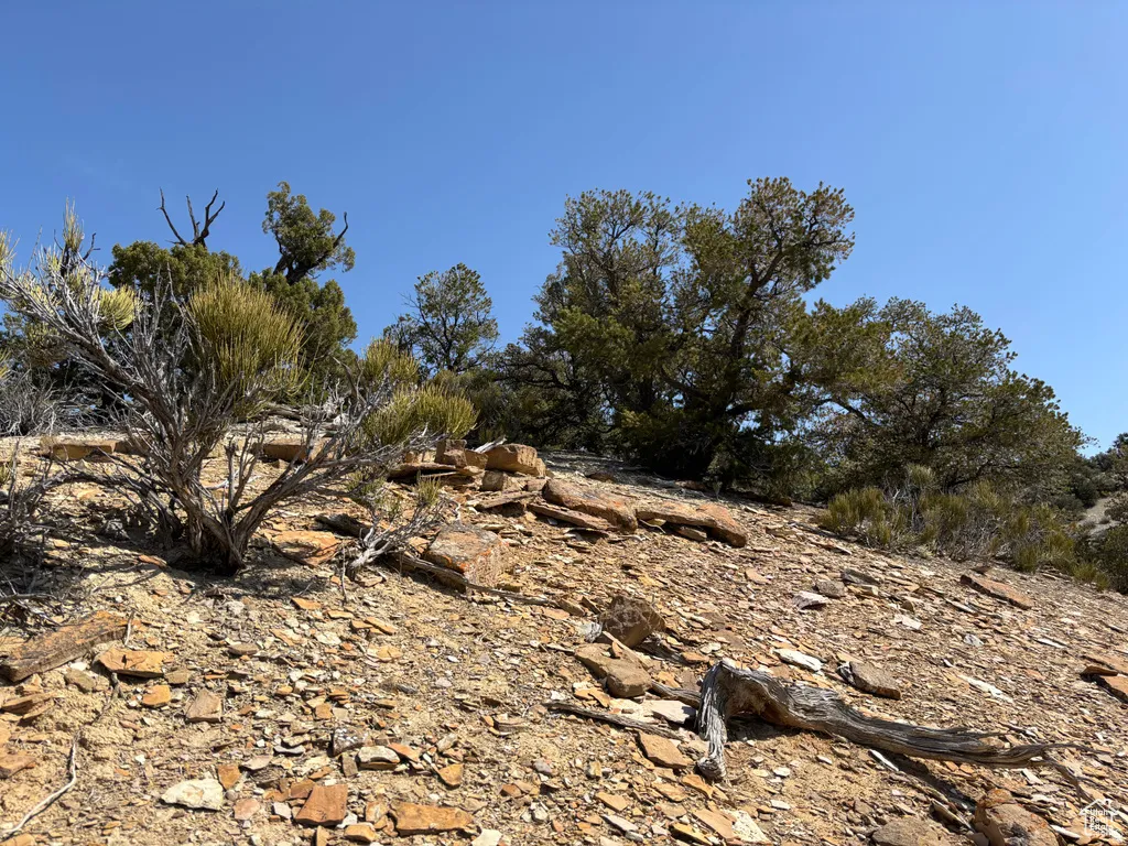 View of undeveloped land