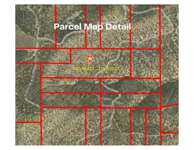 Parcel Map Detail. Illustrating property divisions and coordinates