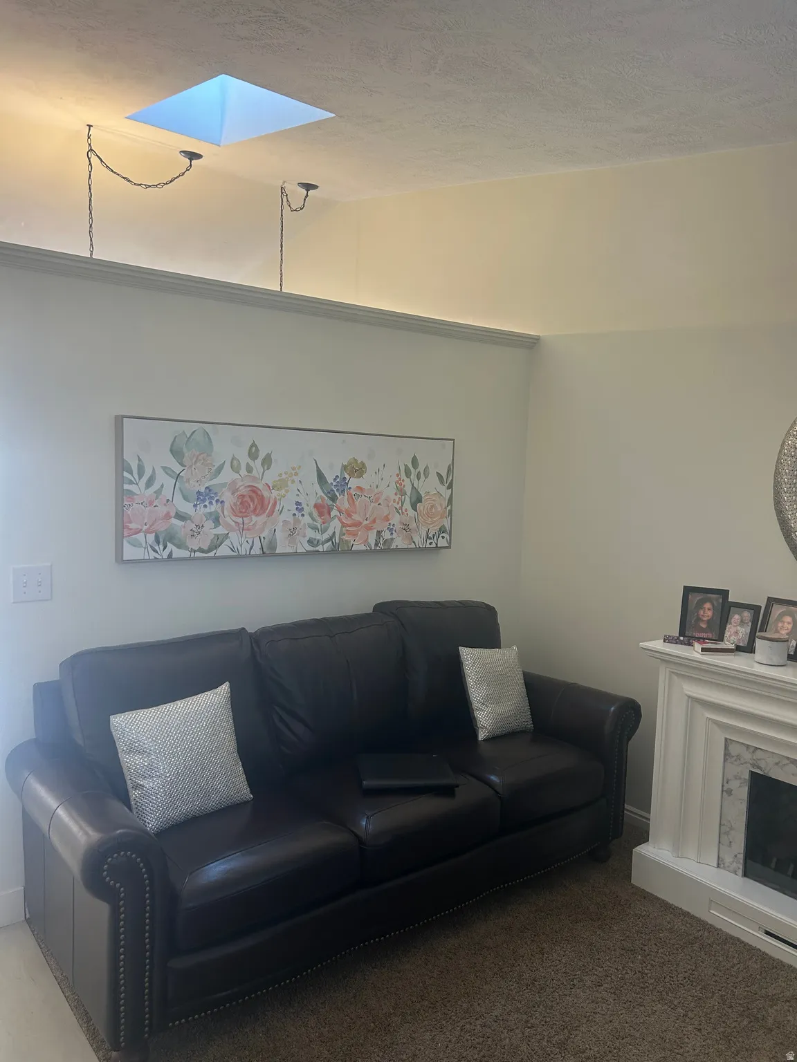 Living room with a skylight, carpet floors, and a fireplace