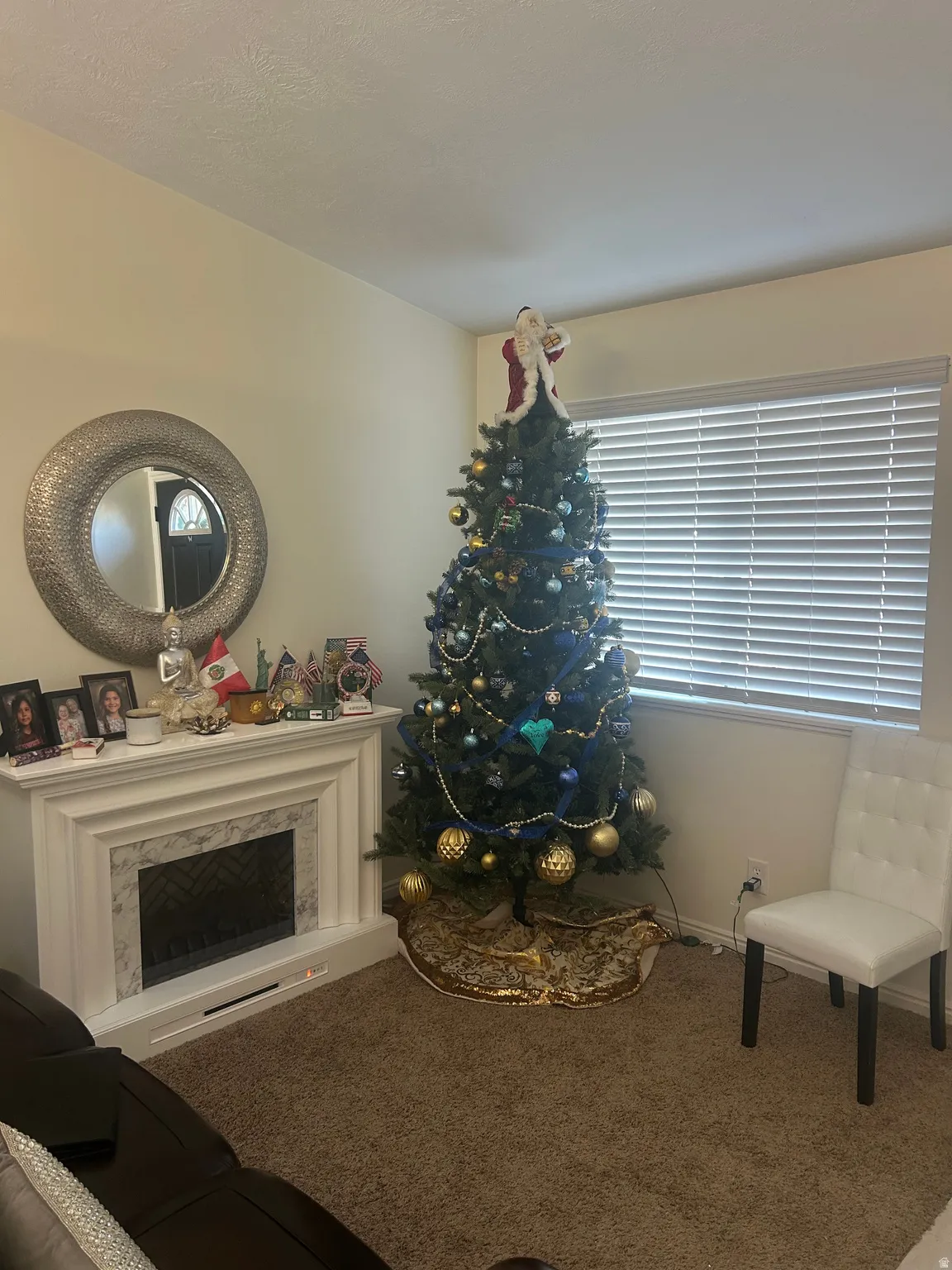 Living area featuring carpet and a premium fireplace