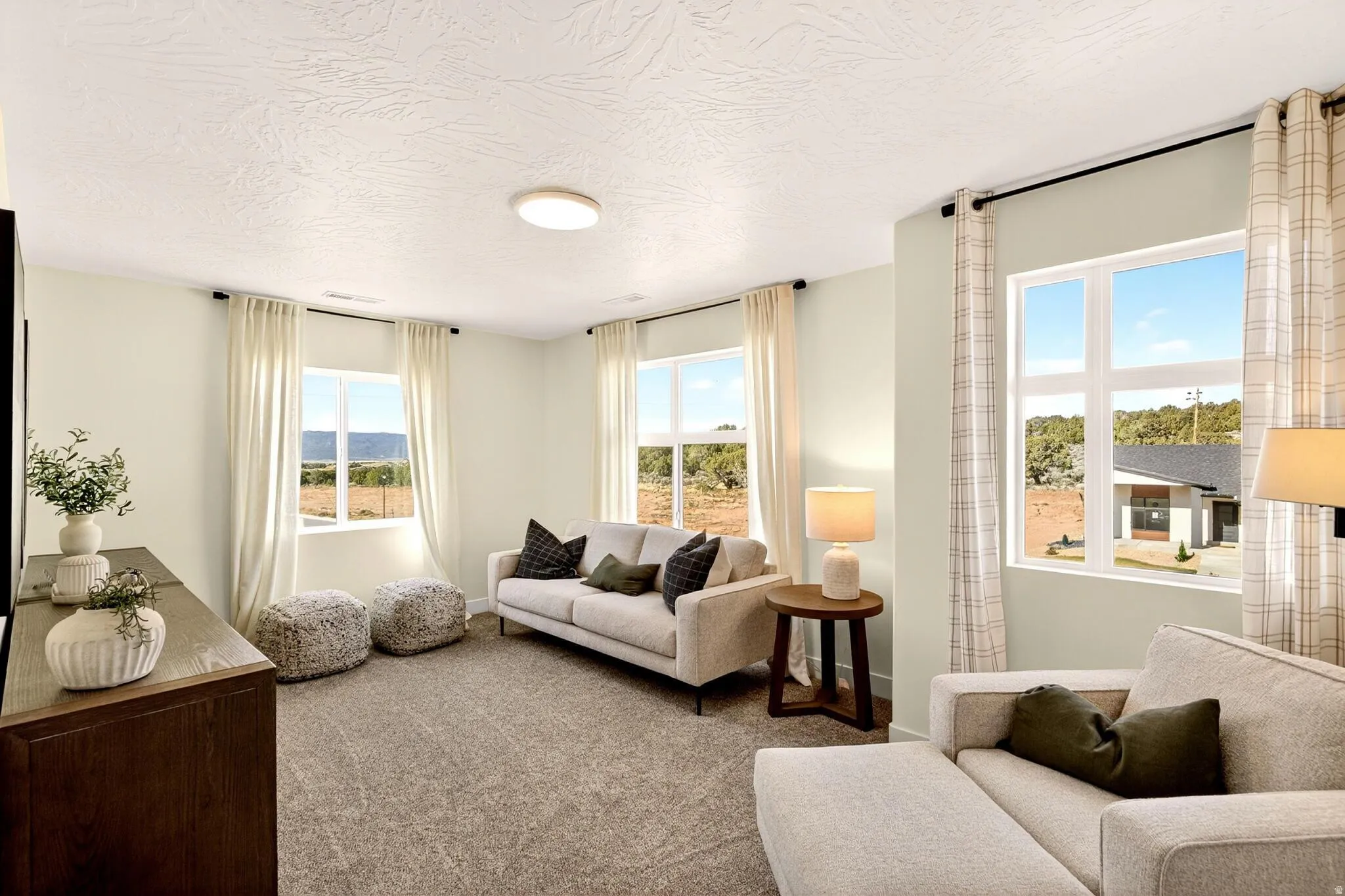 Living room with carpet and a textured ceiling
