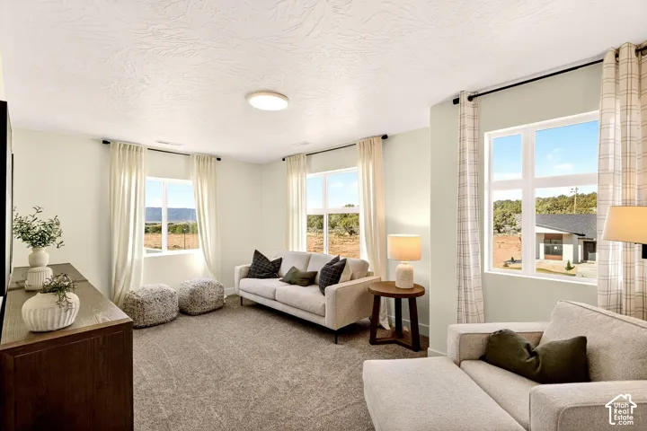 Living room with carpet and a textured ceiling