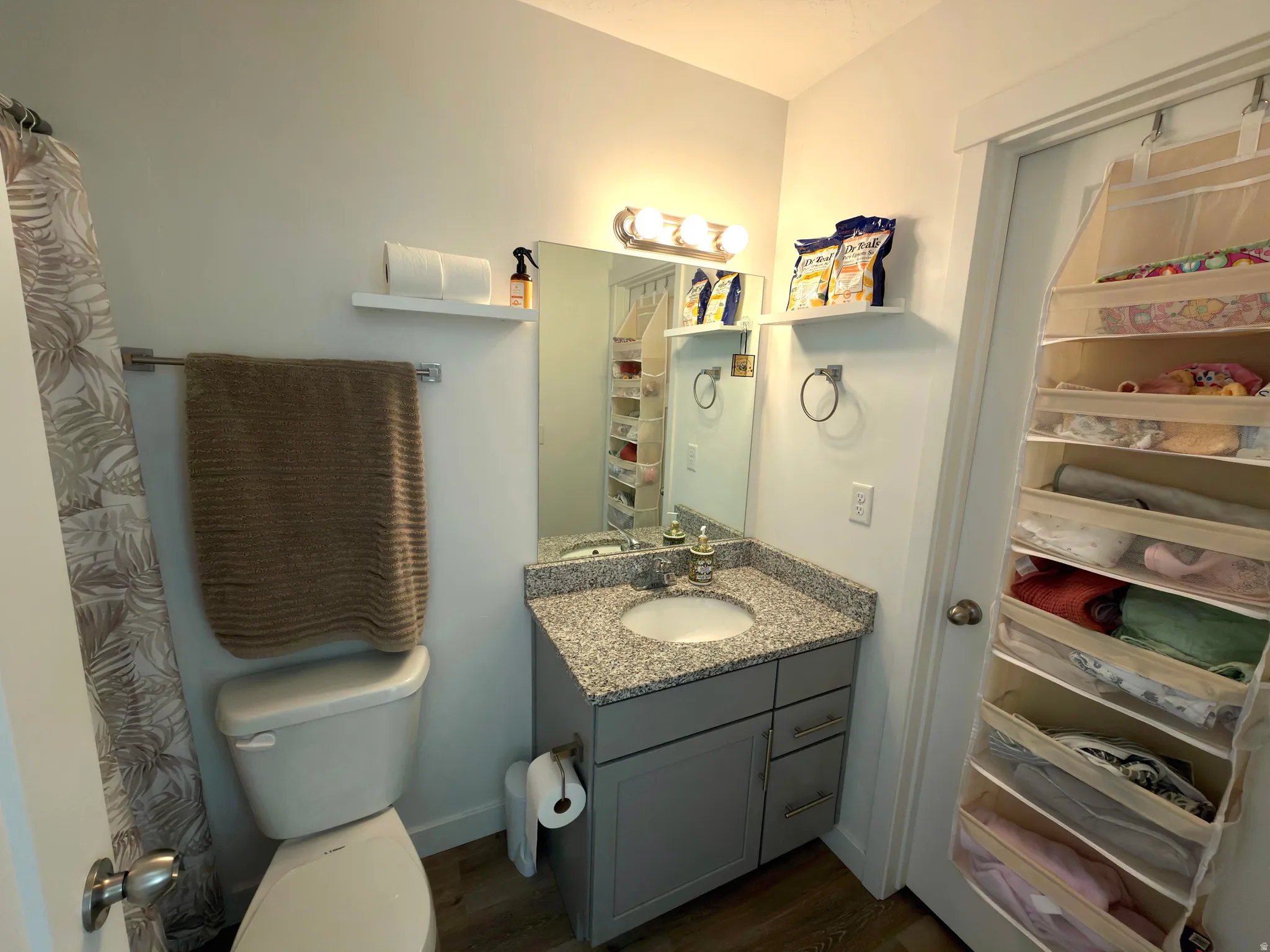 Full bathroom featuring vanity, dark wood-type flooring, curtained shower, and a closet