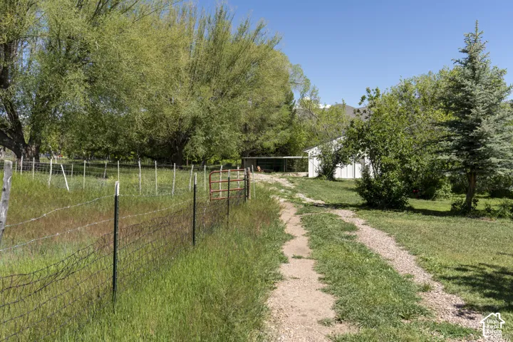 Gravel drive extending through a grassy landscape, with a wire fence and gate bordering one side