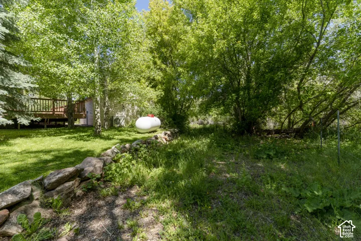 Gravel lane to the east of main house.