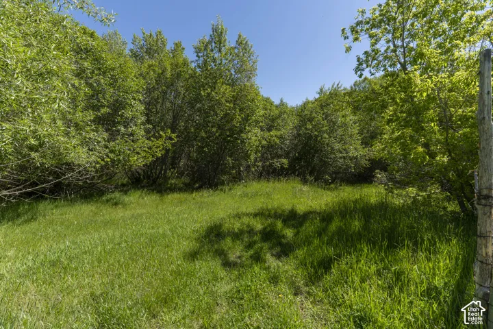Second field N of guest house.