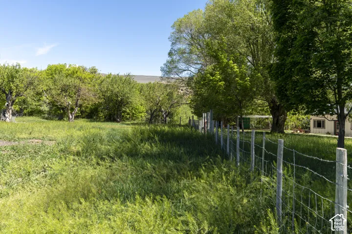 Orchard and field. Facing N.