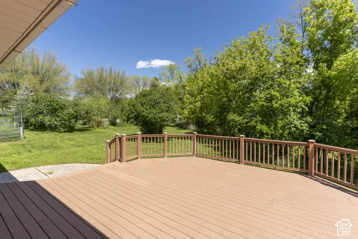 Back deck.