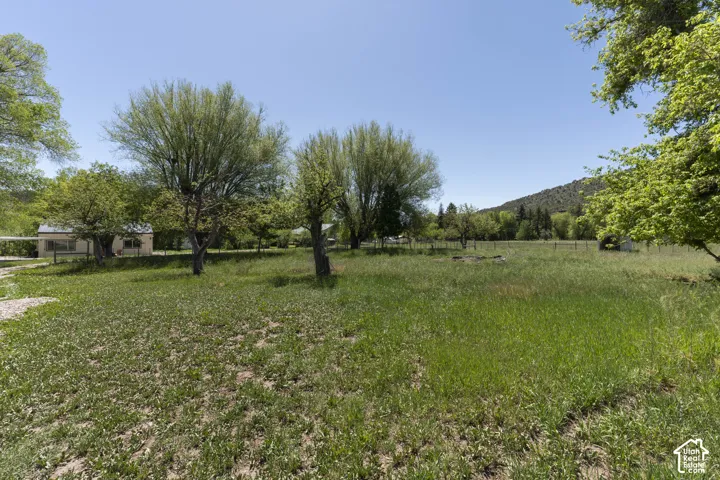 Expansive grassy area featuring mature trees and a distant dwelling, set against a mountainous backdrop