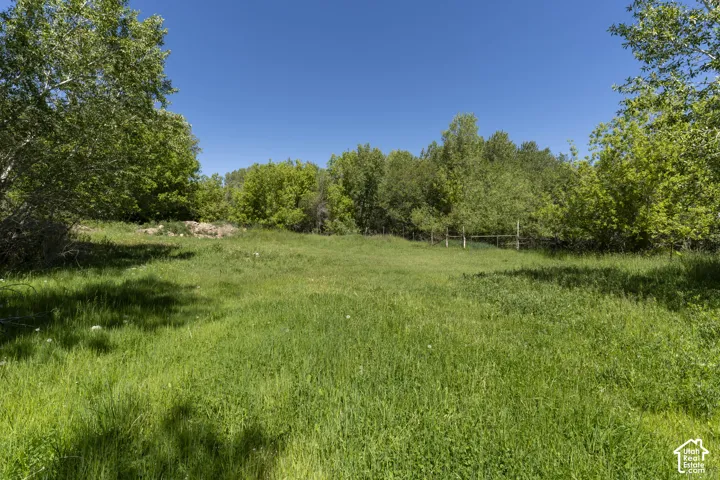 Expansive grassy area surrounded by lush trees, featuring a clear blue sky overhead and scattered sunlit patches