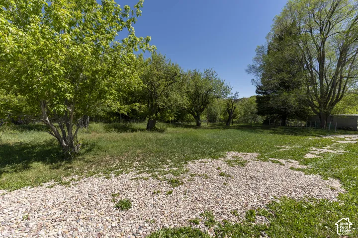 Orchard and field area W of guest house.