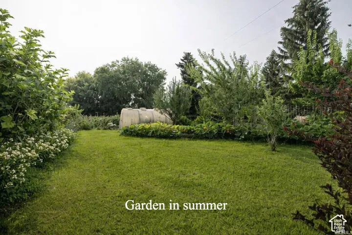 View of green lawn