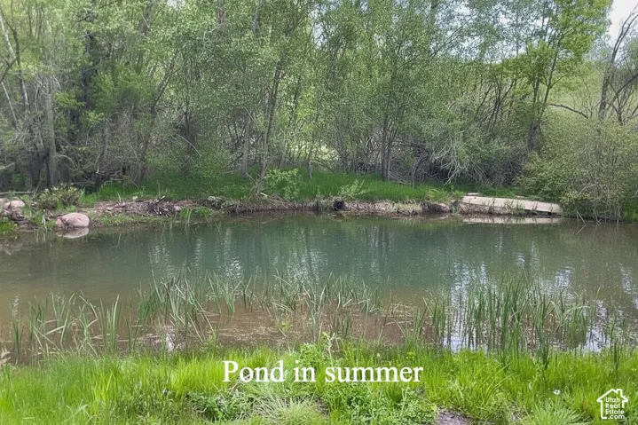 Pond at full capacity.