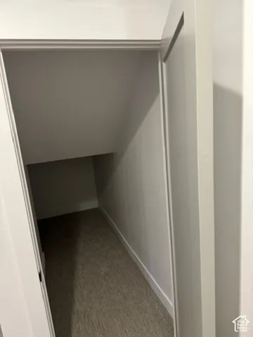 Under the stairs storage