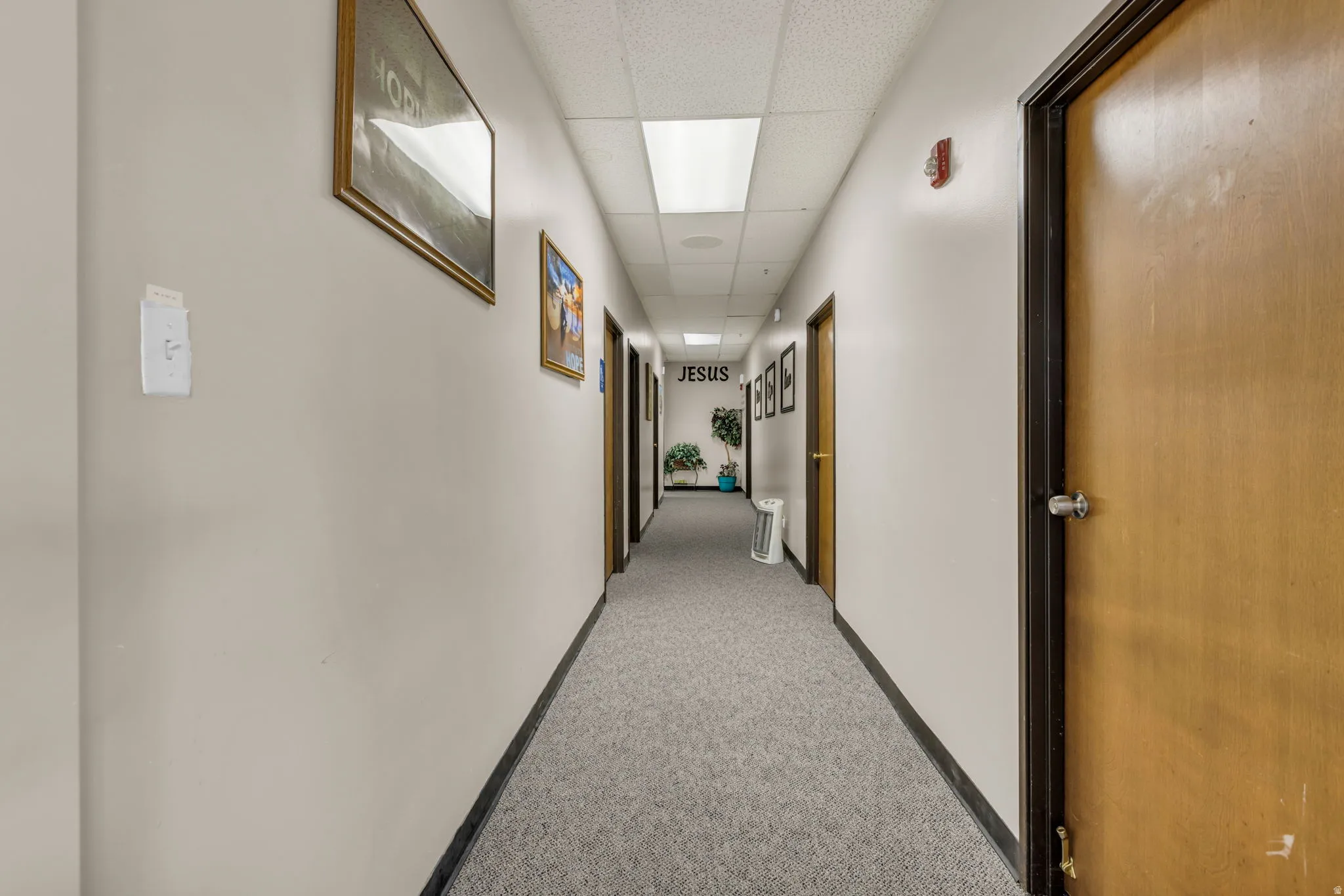 Corridor with a drop ceiling and light carpet