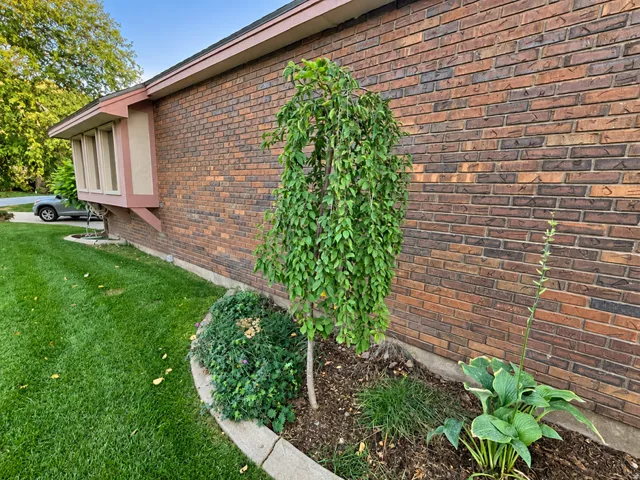 Brick exterior with an extended bay window, landscaped planting bed, mature greenery, and a manicured lawn