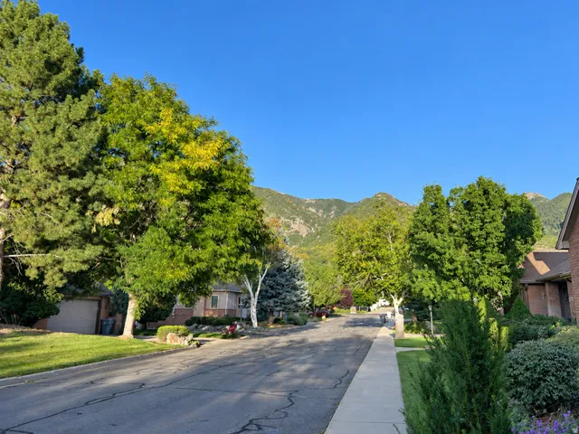 Street with mature trees, sidewalks, and mountain backdrop