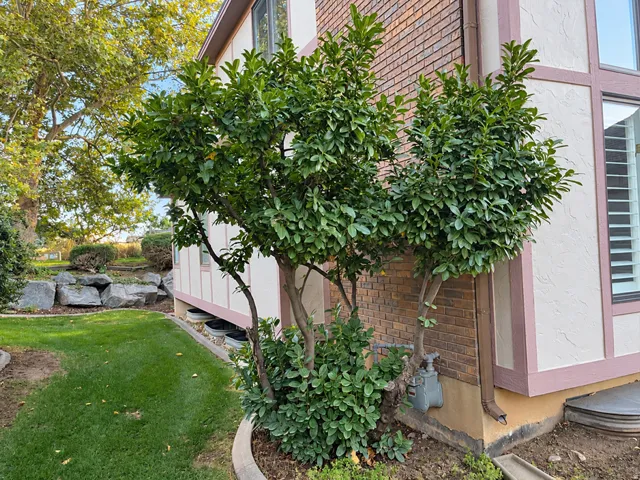 Brick and stucco exterior with architectural trim details