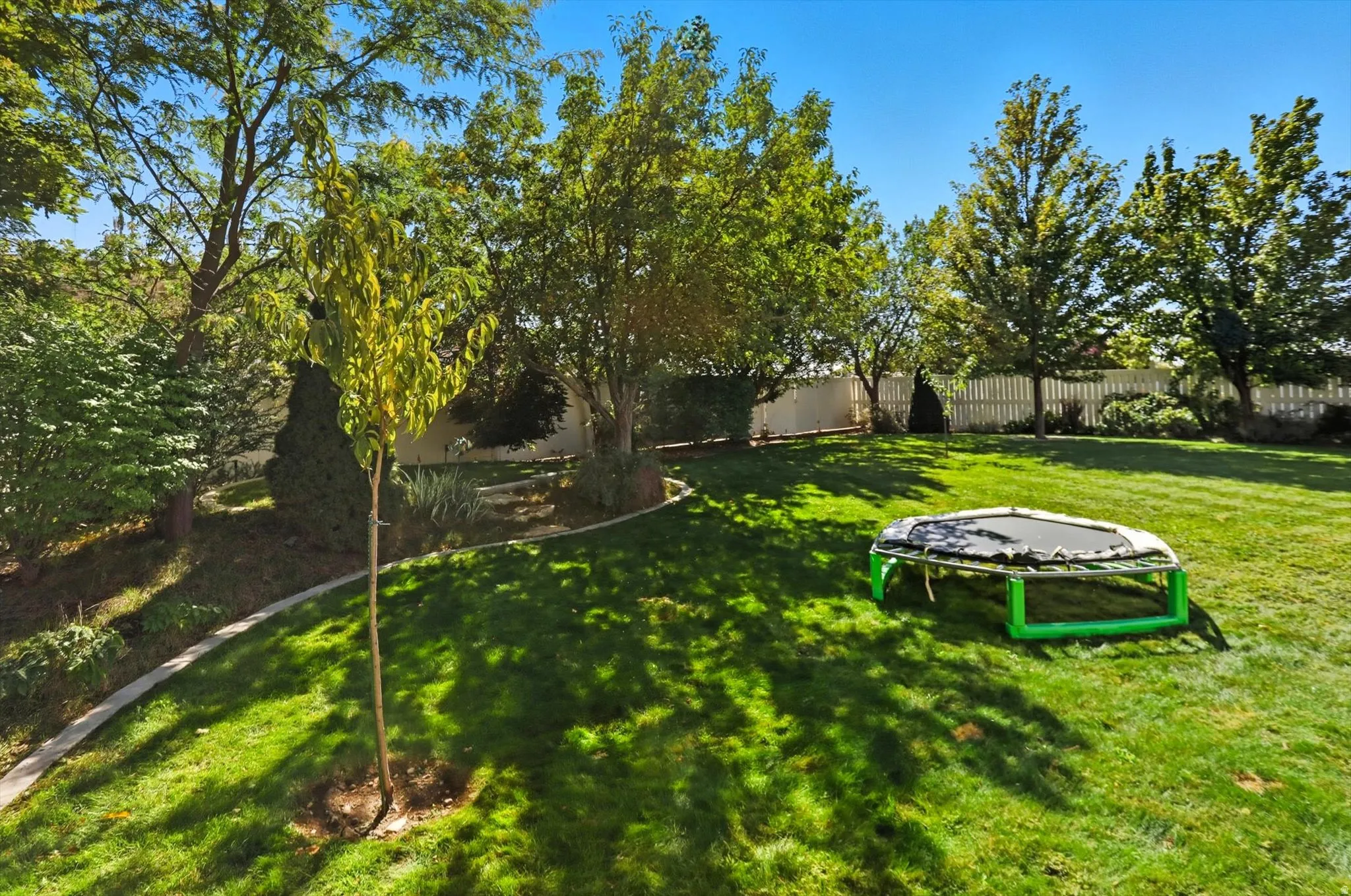 View of fenced backyard