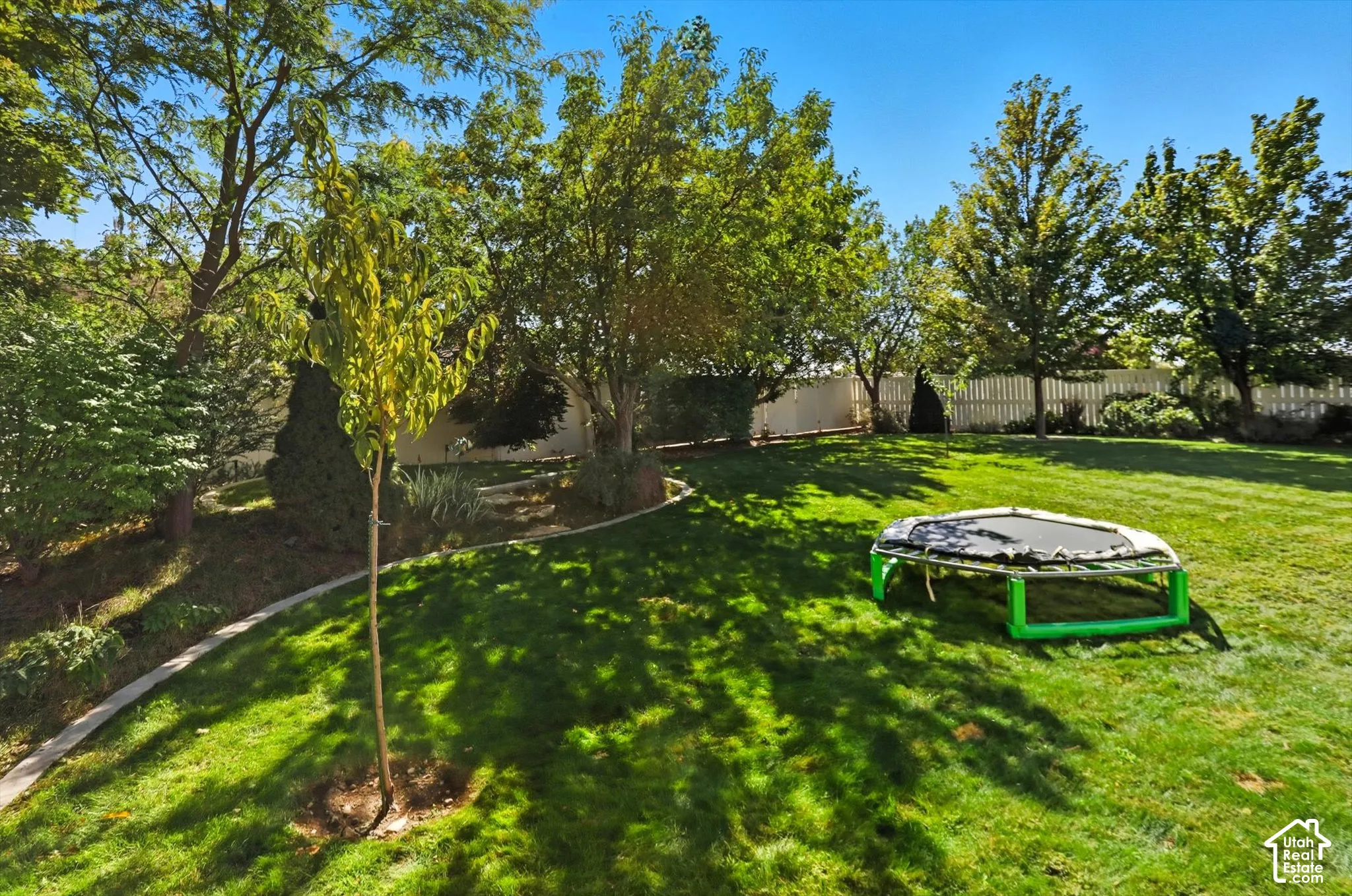 View of fenced backyard
