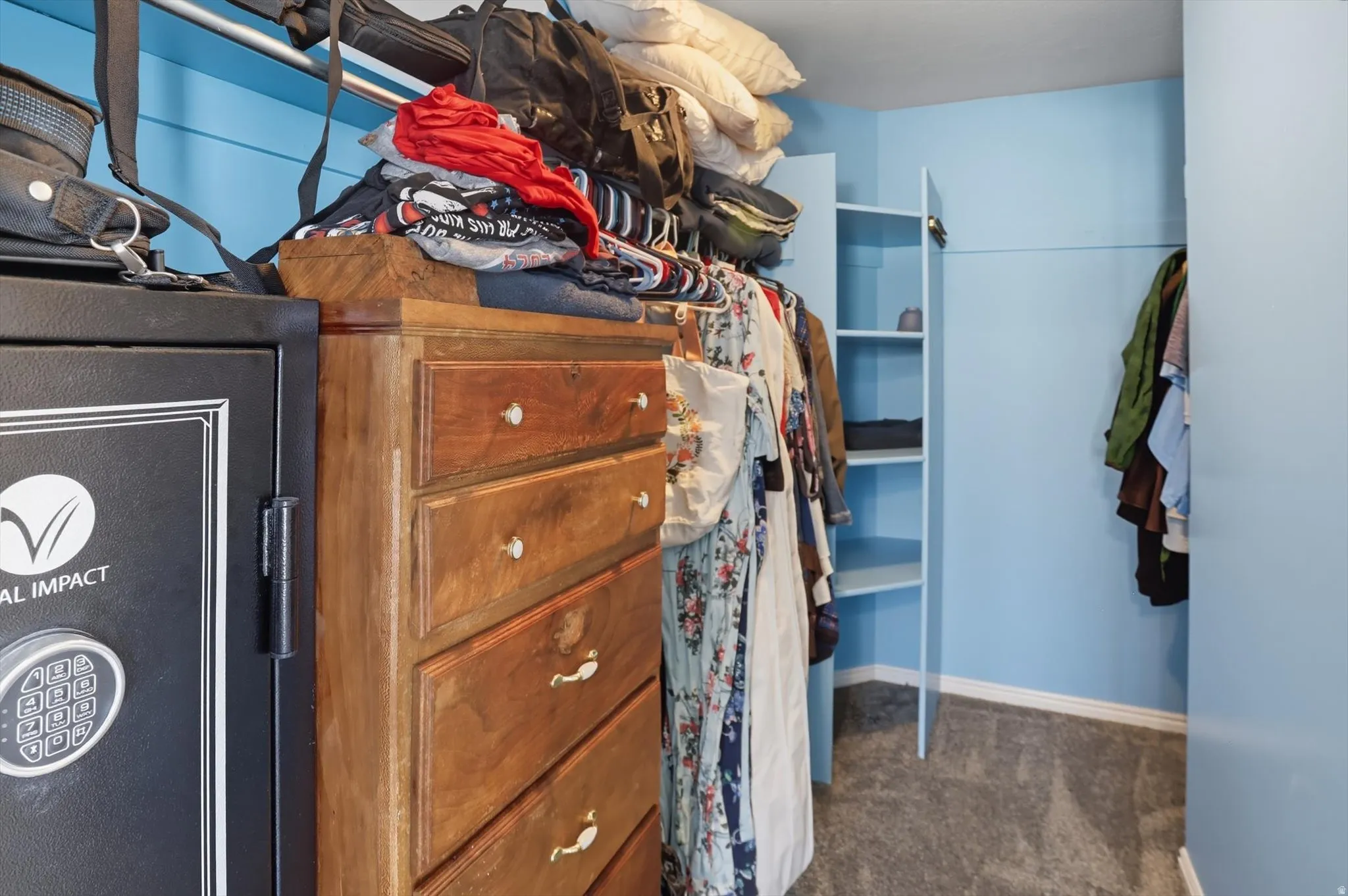 Walk in closet with dark colored carpet