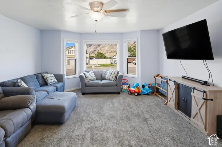 Living area with a ceiling fan, carpet floors, and a textured ceiling