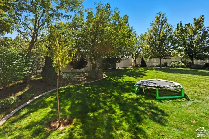 View of fenced backyard