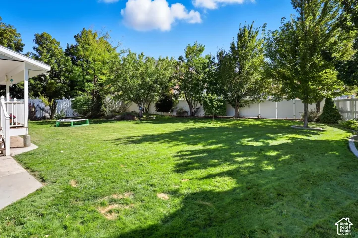 View of fenced backyard