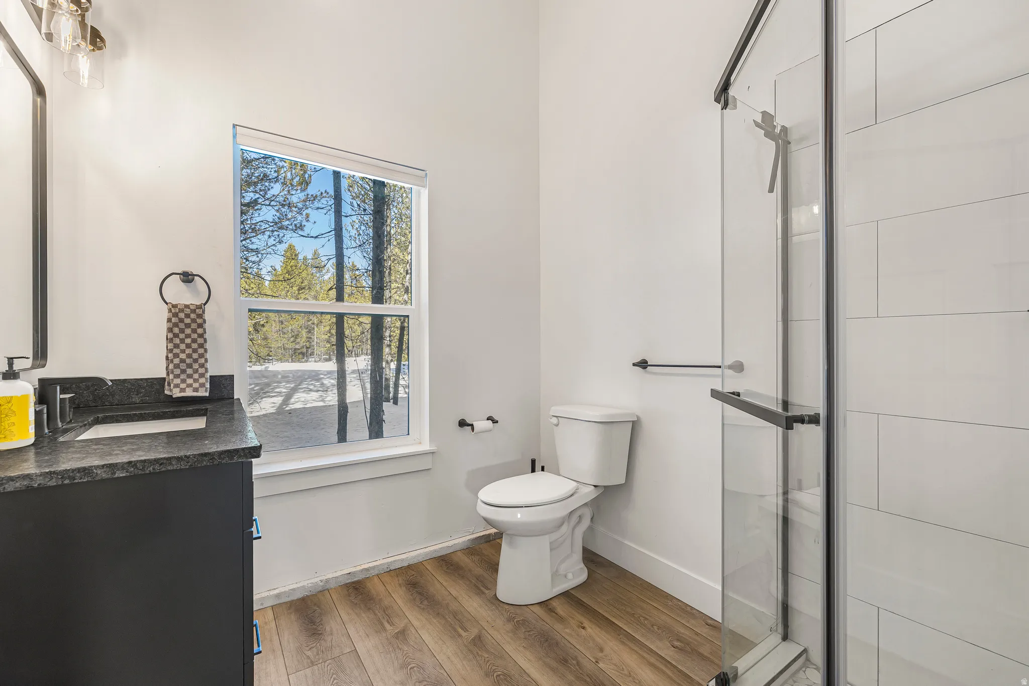 Bathroom featuring vanity, a shower stall, and dark wood-style floors