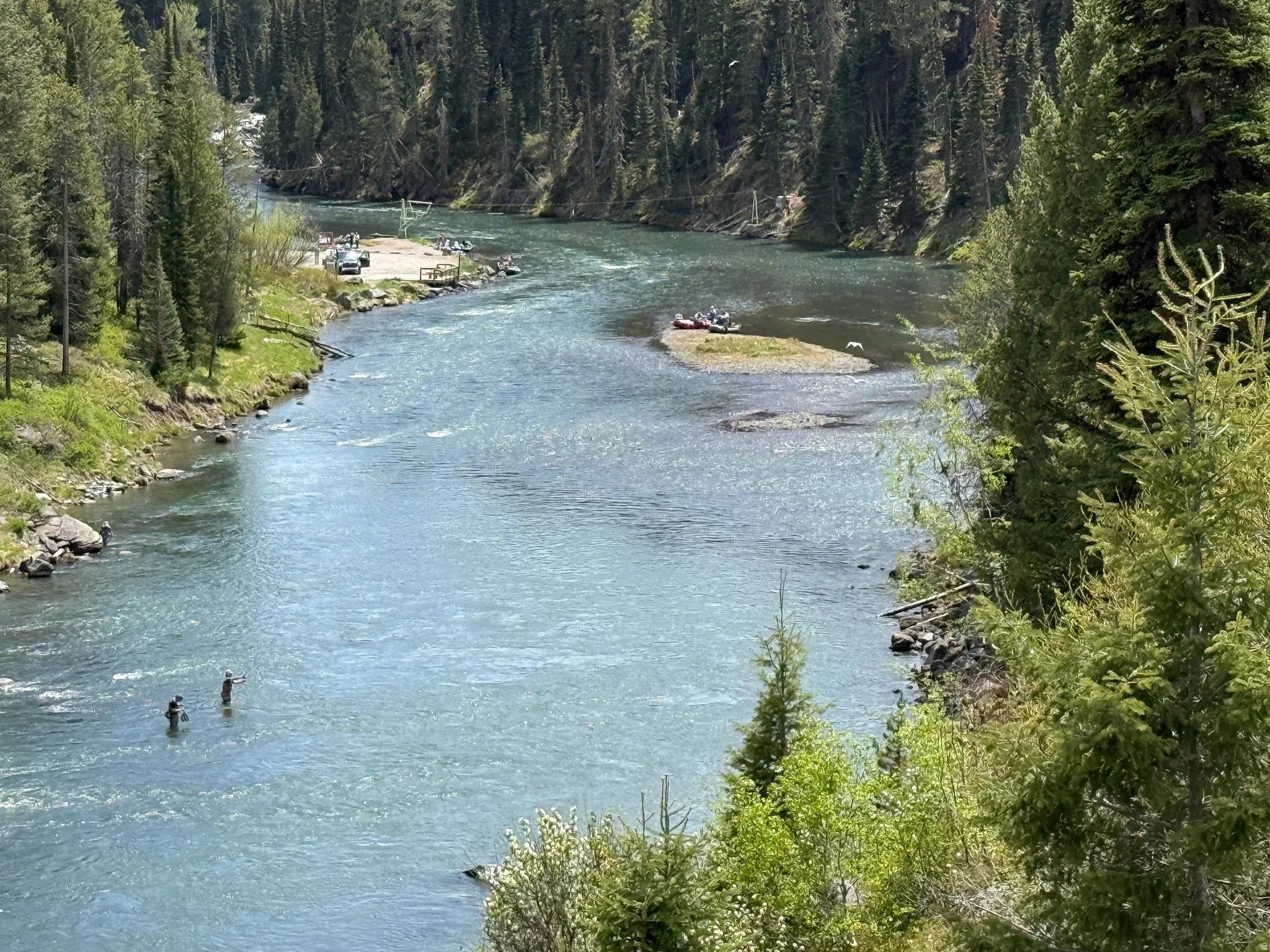 Natural river setting featuring clear water, lush green tree lines, a sandy bank, and verdant foliage