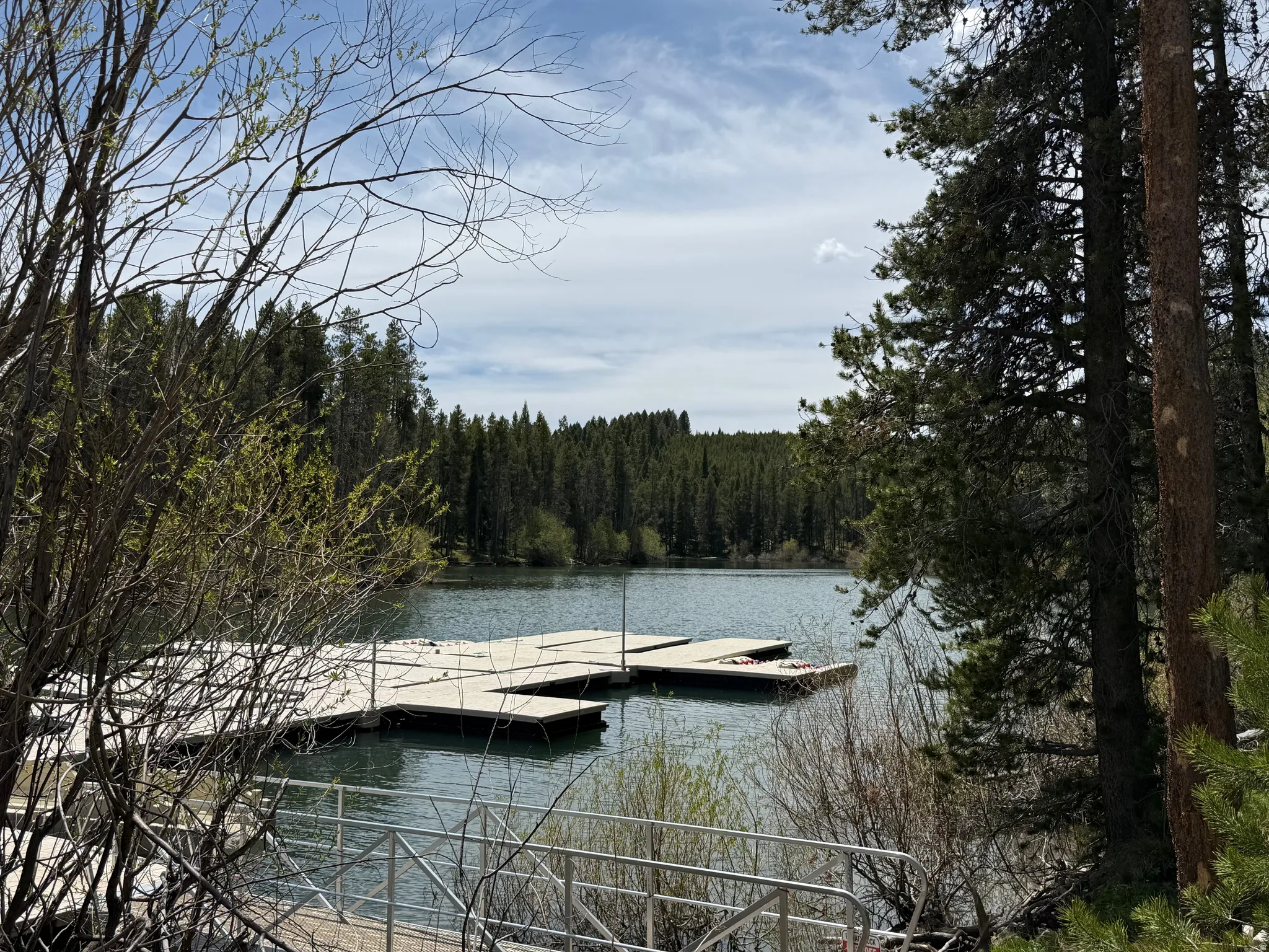 Waterfront access with a private dock featuring multiple slips, surrounded by mature pine trees and natural foliage