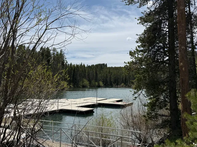 Waterfront access with a private dock featuring multiple slips, surrounded by mature pine trees and natural foliage
