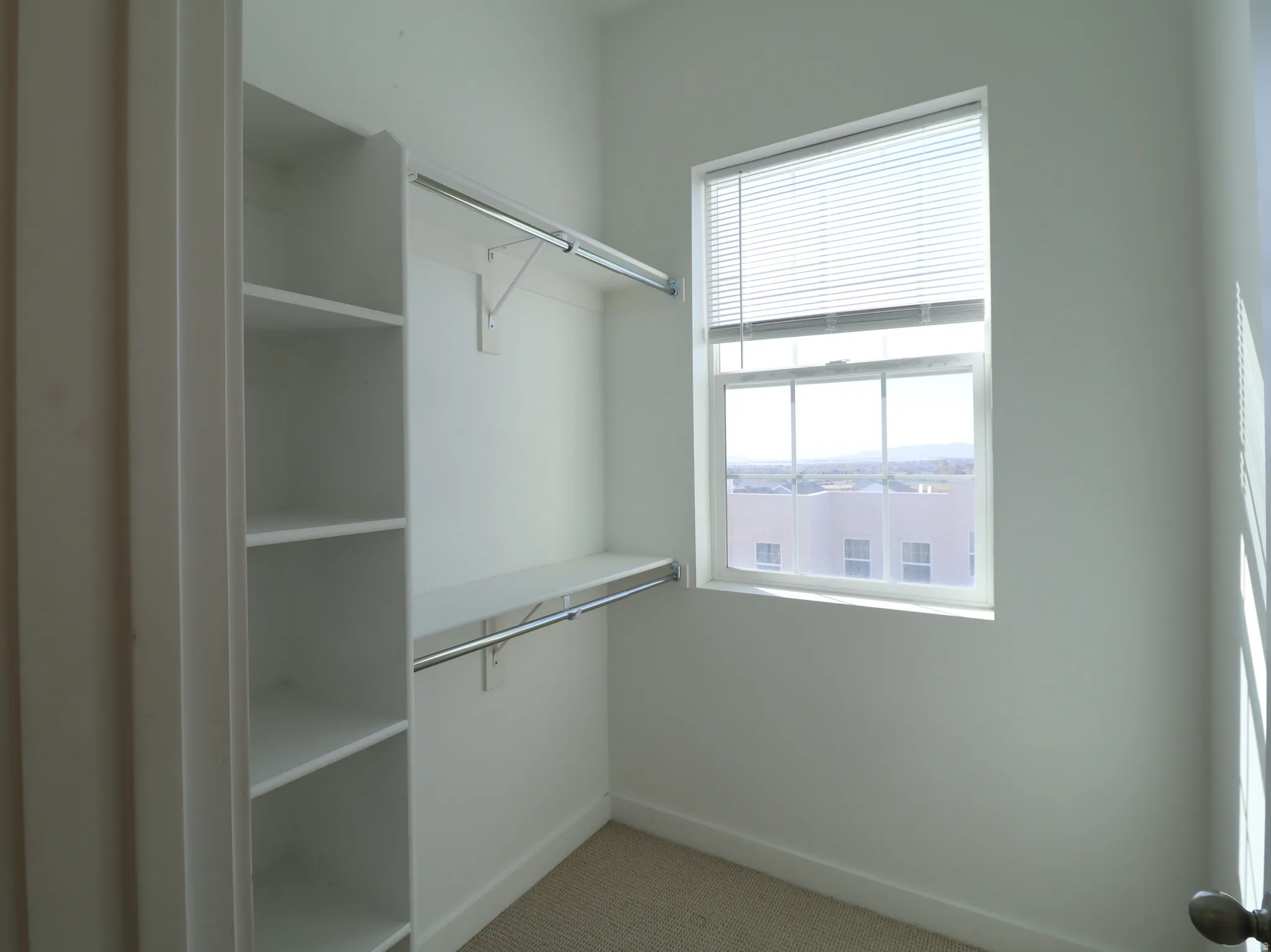 Walk in closet featuring light carpet