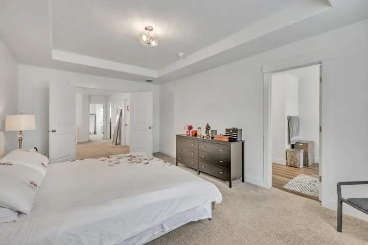 Bedroom with light carpet and a raised ceiling